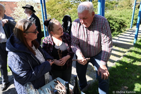 Rez kamniške trte, ki je potomka najstarejše vinske trte (20)